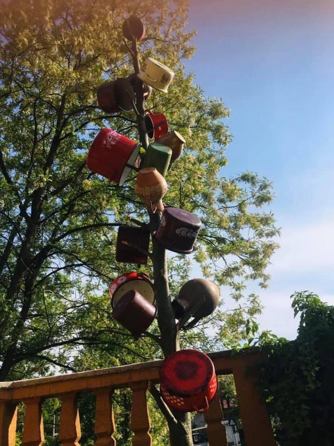 Appartamento Casa Mariuca Văleni Esterno foto